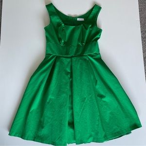 Clavin Klein Women Elegant and Beautiful Bauffont A-Line Style Green Party Dress